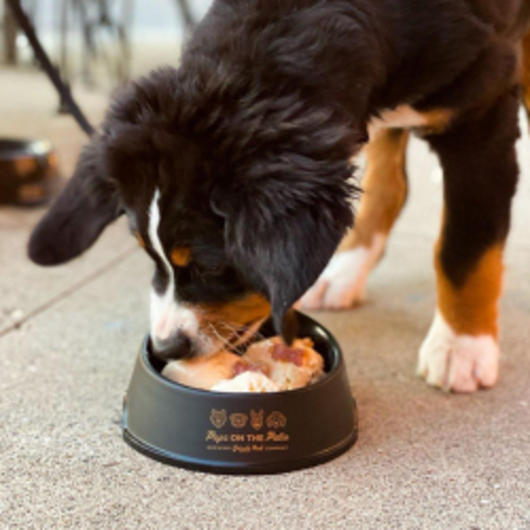 Pups on the Patio